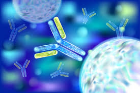 OnCofirm Rapid Cancer Tests